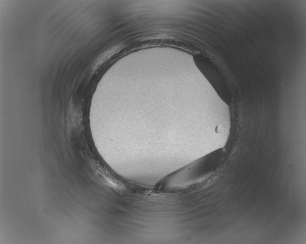 X0000076030826200610201825