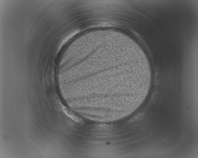 X0000076030827200610201825