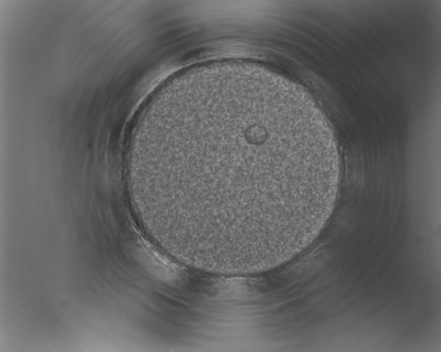 X0000076030828200610201825