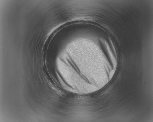 X0000076030830200610201825