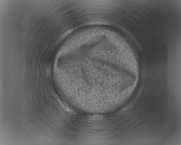 X0000076030833200610201825