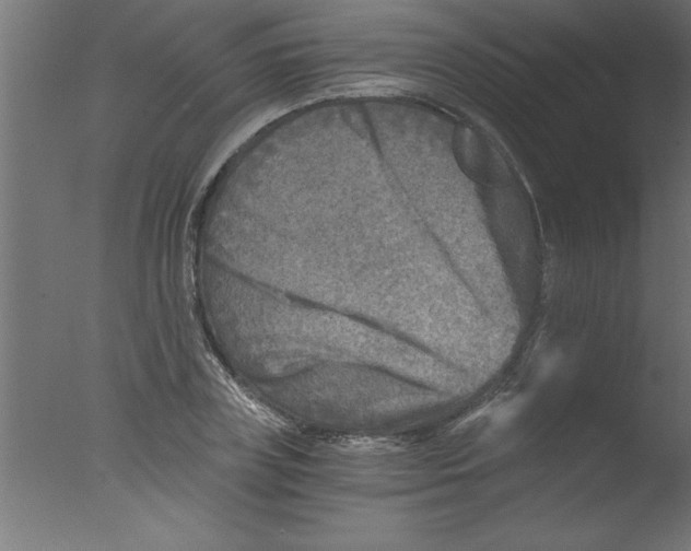 X0000076030835200610201825