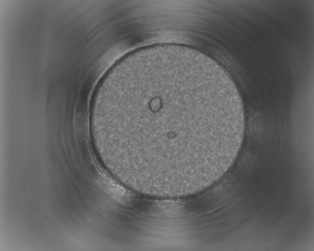 X0000076030836200610201825