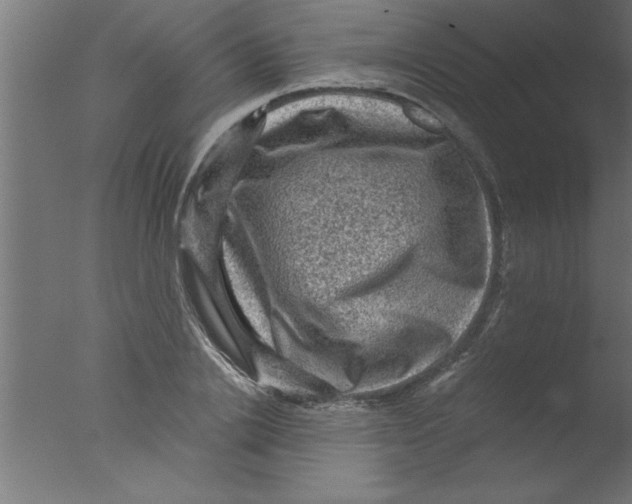 X0000076030838200610201825