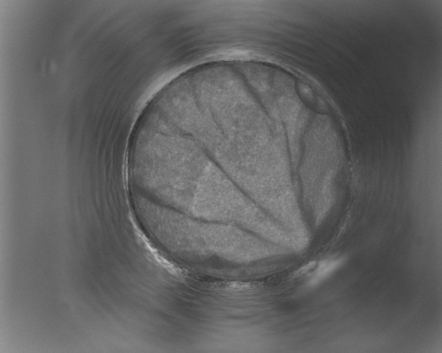 X0000076030839200610201825