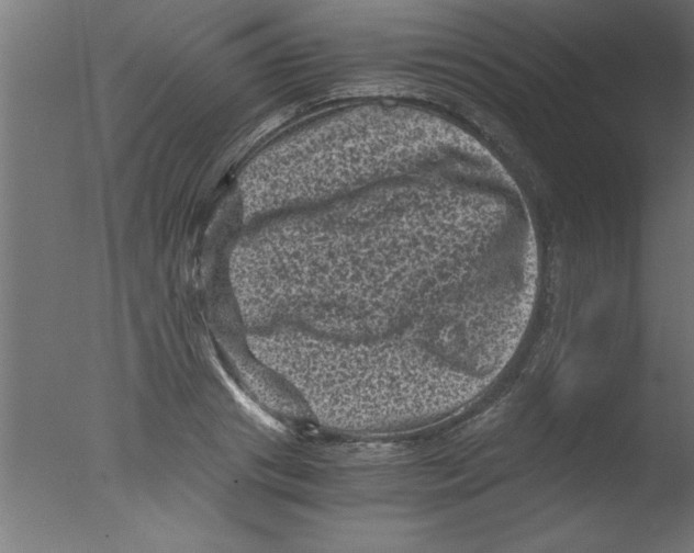 X0000076030841200610201825