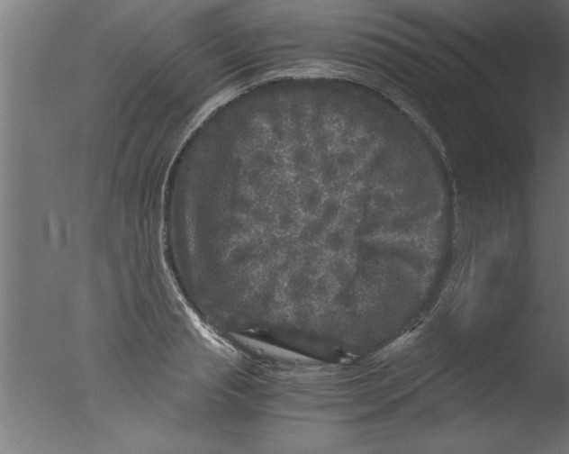 X0000076030845200610201825