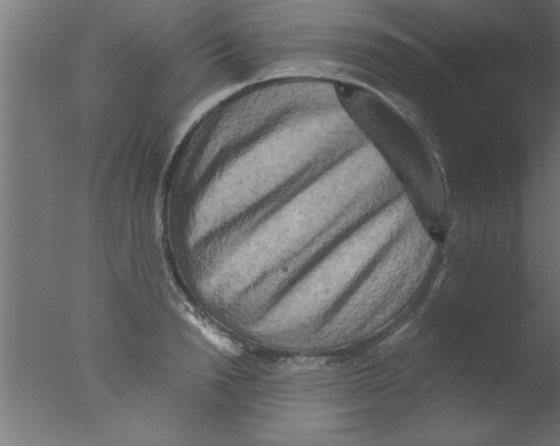 X0000076030846200610201825