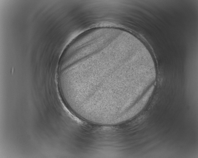 X0000076030847200610201825