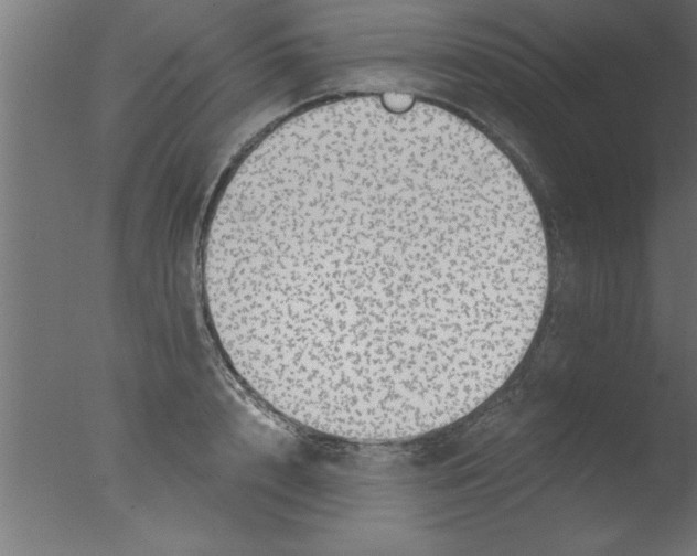 X0000076030848200610201825