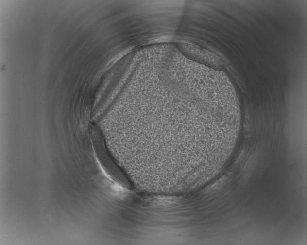 X0000076030849200610201825