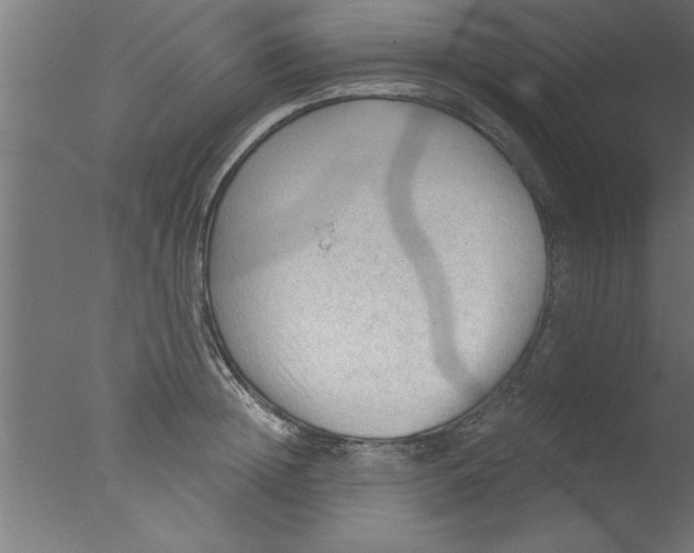 X0000076030852200610201825