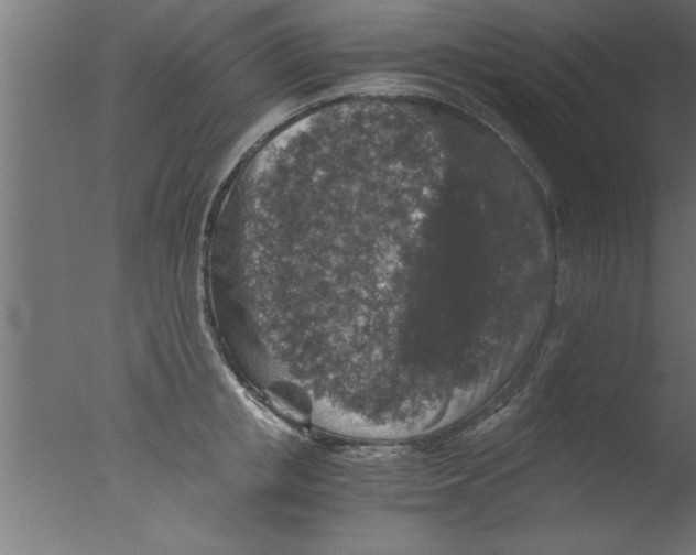 X0000076030853200610201825