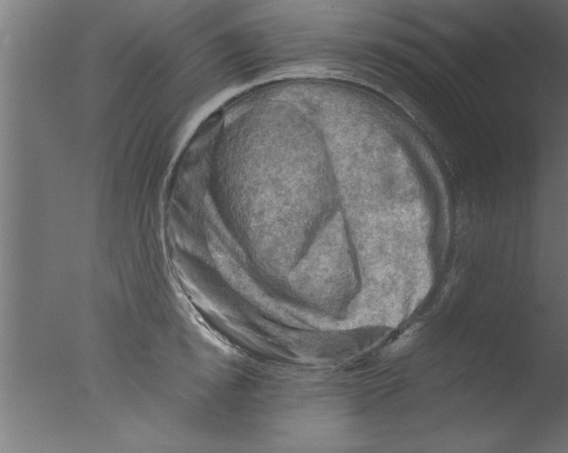 X0000076030854200610201825