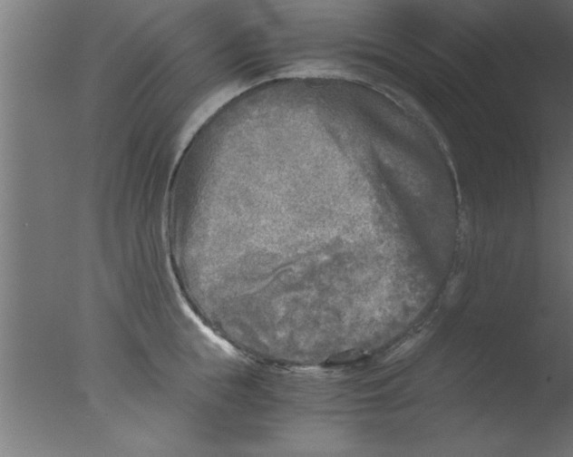 X0000076030855200610201825