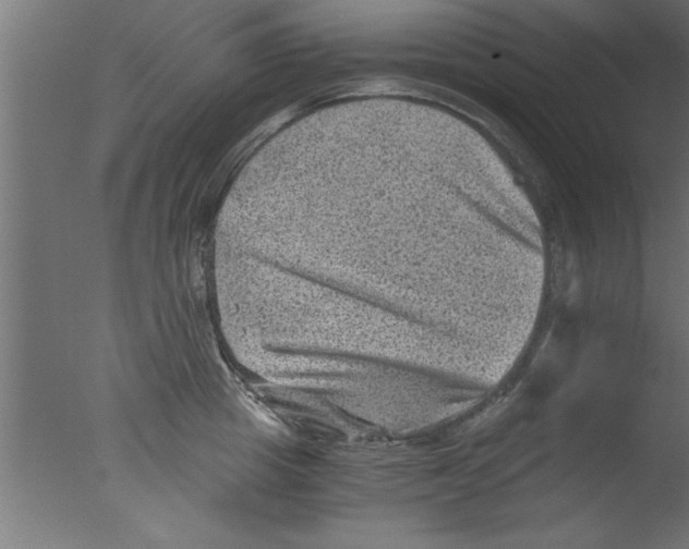 X0000076030857200610201825