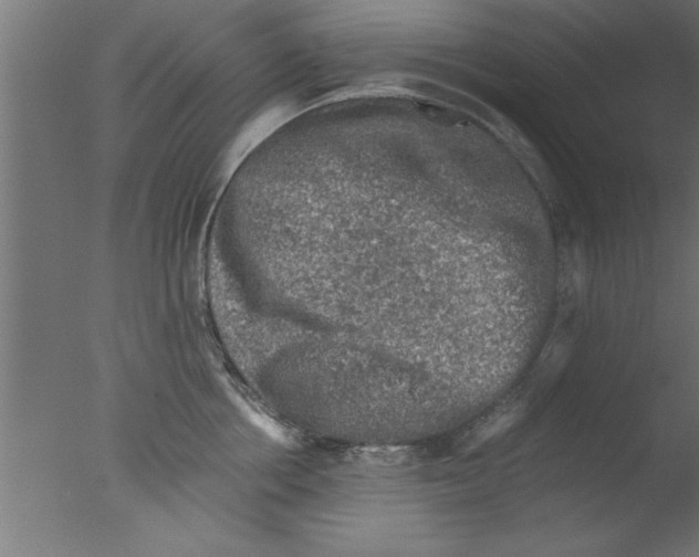 X0000076030858200610201825