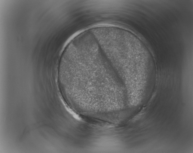 X0000076030862200610201825