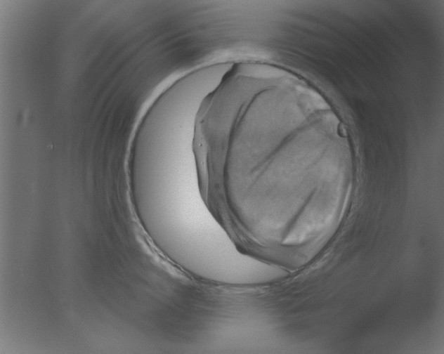 X0000076030864200610201825