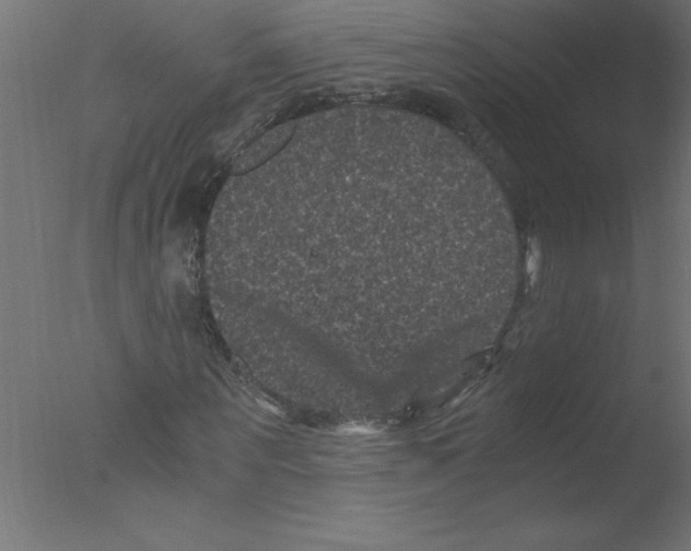 X0000076030867200610201824