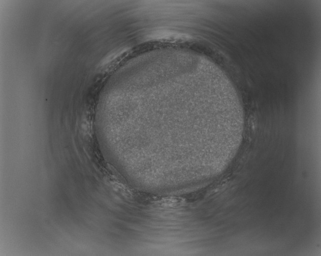 X0000076030869200610201824