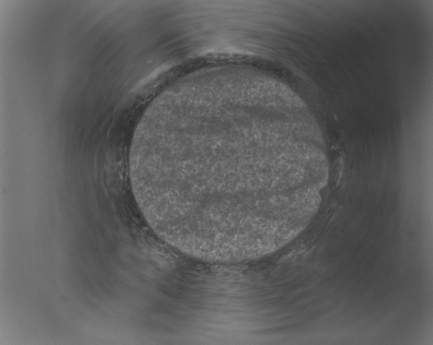 X0000076030870200610201824