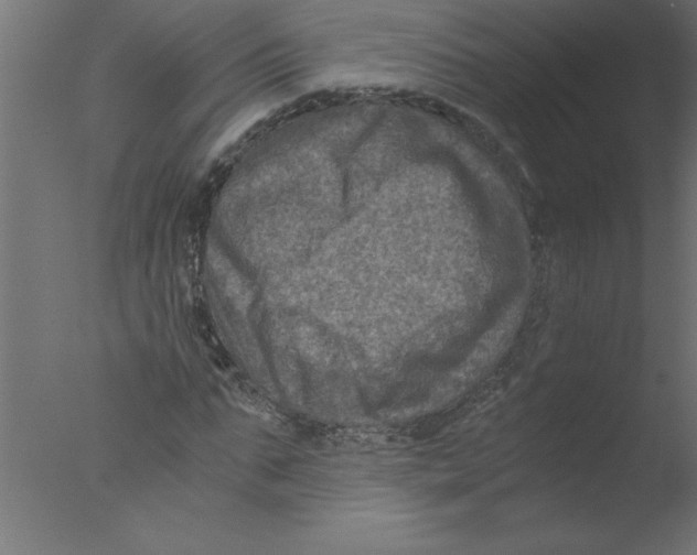 X0000076030871200610201824