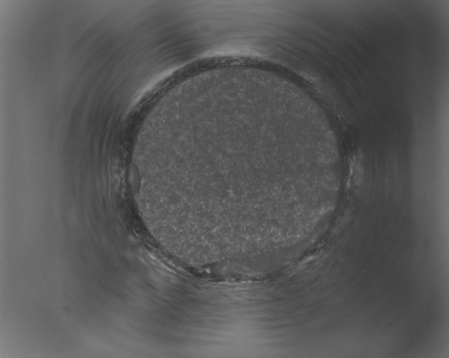 X0000076030872200610201824