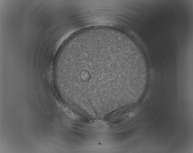 X0000076030875200610201824