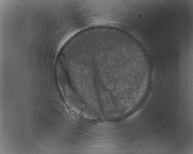 X0000076030877200610201824