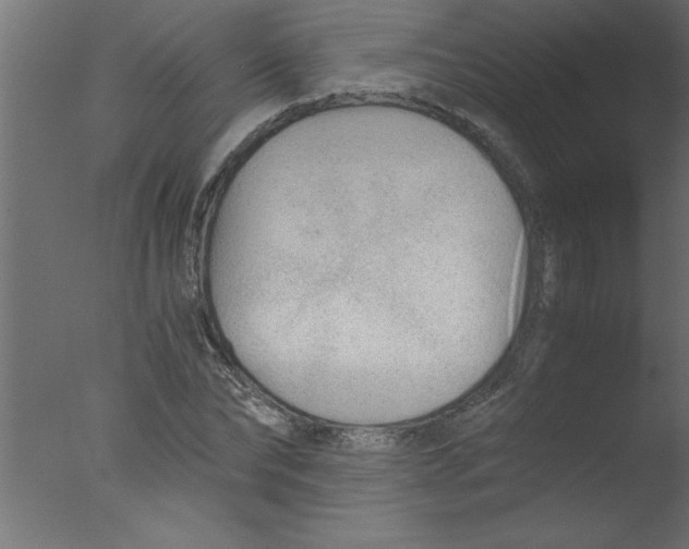 X0000076030878200610201824