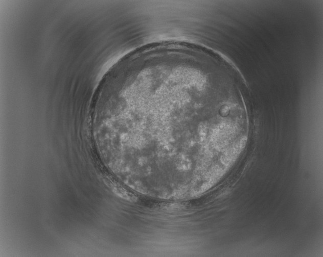 X0000076030879200610201824