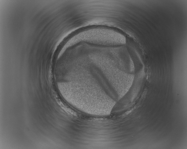 X0000076030880200610201824