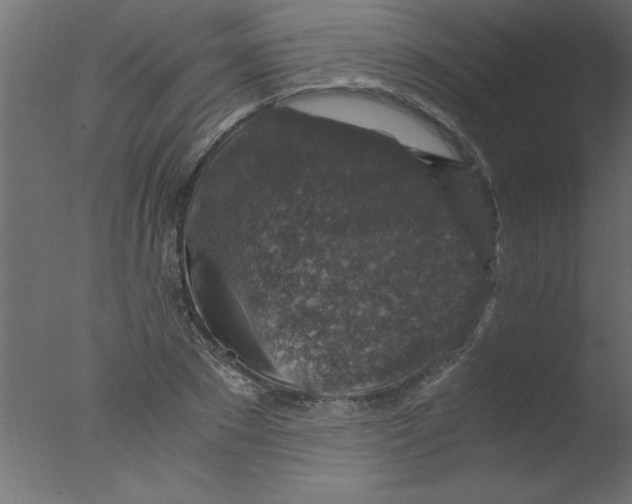 X0000076030881200610201824