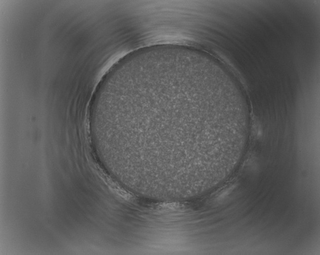 X0000076030883200610201824