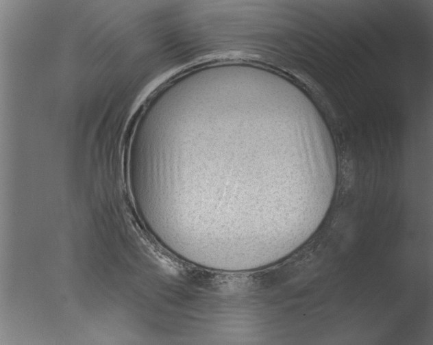 X0000076030886200610201824