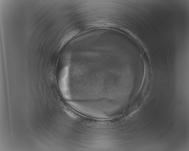 X0000076030889200610201824