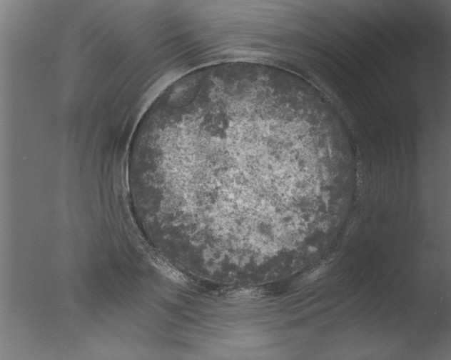 X0000076030891200610201824