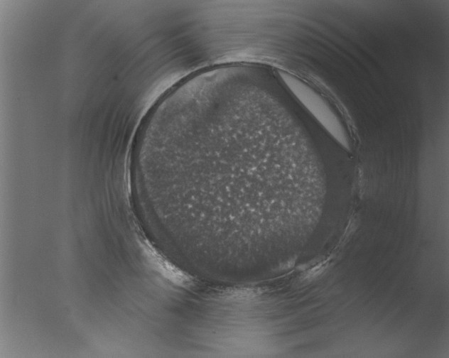 X0000076030892200610201824