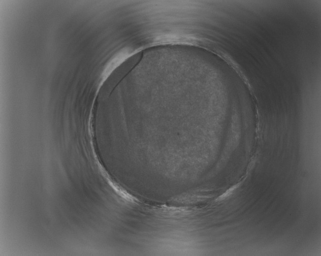 X0000076030893200610201824