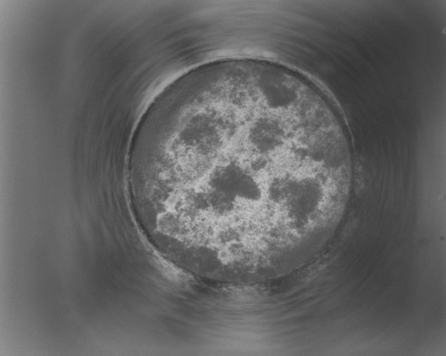 X0000076030895200610201824