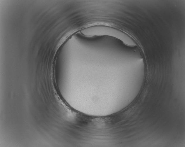 X0000076030898200610201824