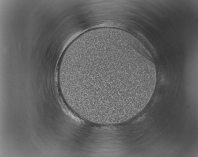 X0000076030900200610201824