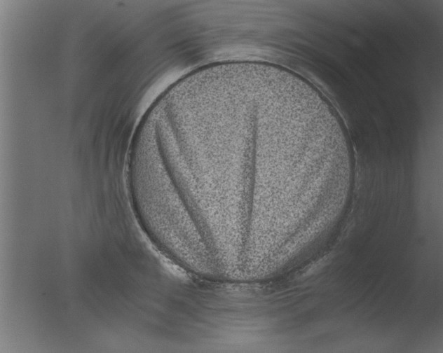 X0000076030901200610201824