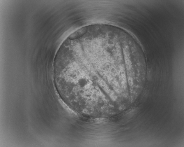 X0000076030903200610201824