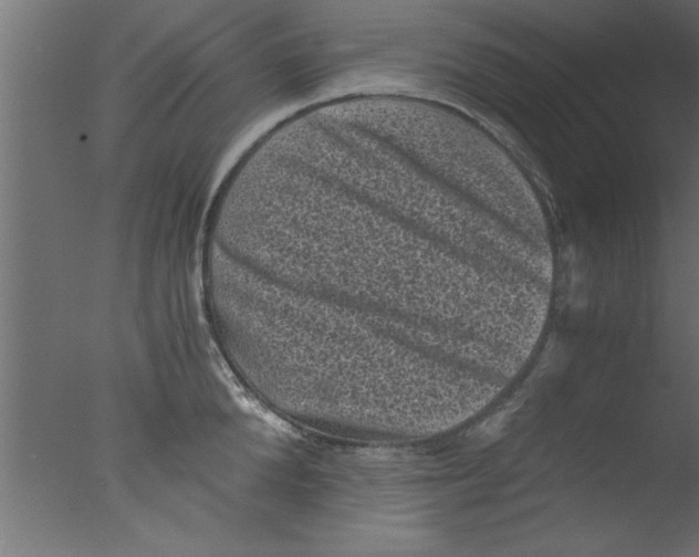 X0000076030904200610201824