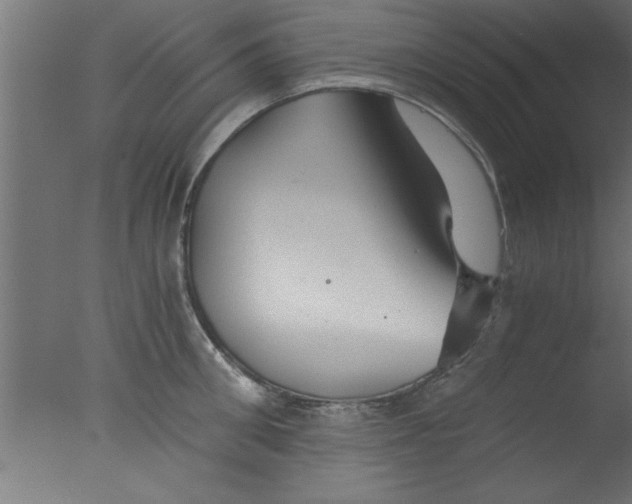 X0000076030906200610201824