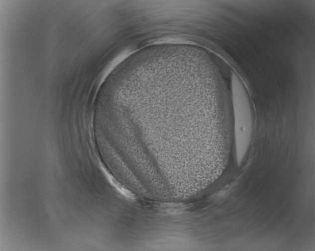 X0000076030909200610201824