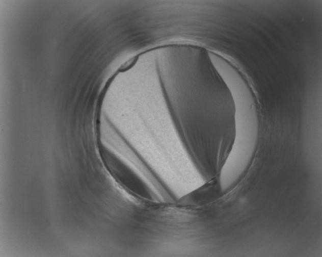 X0000076030910200610201824