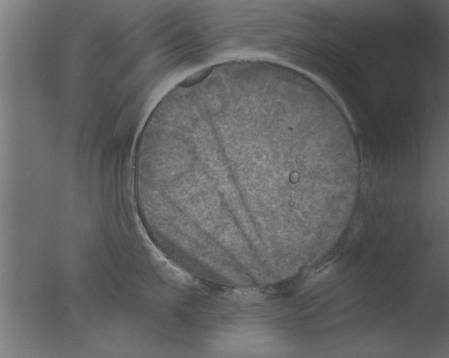 X0000076030911200610201824